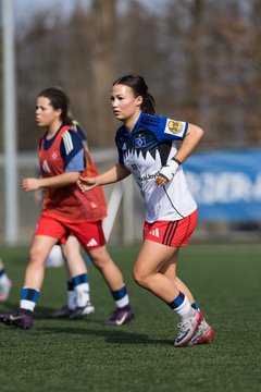 Bild 113 - wBJ Hamburger SV - Hertha BSC : Ergebnis: 2:1